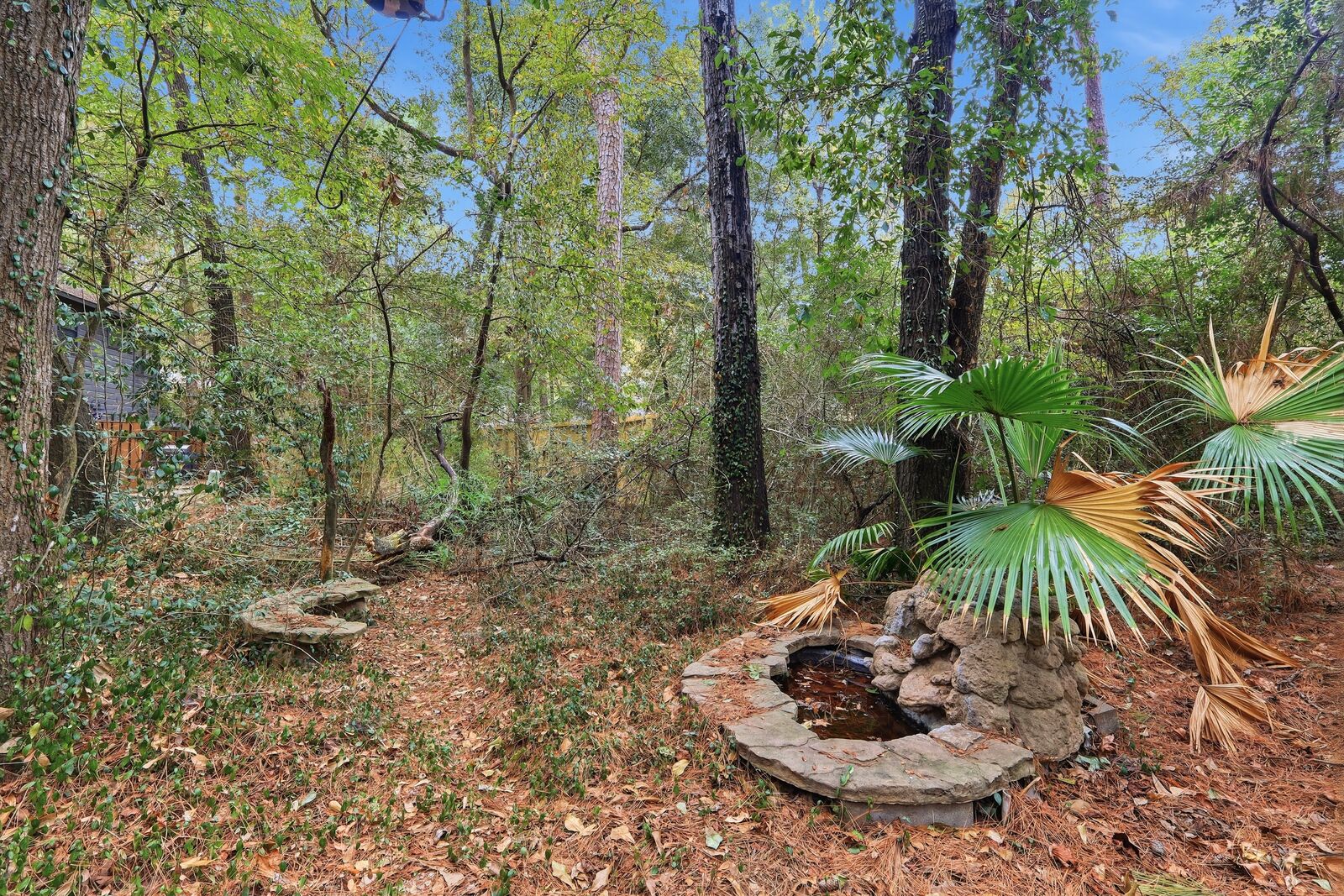 Wooded backyard setting with mature trees